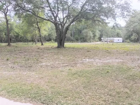 NE 141st Court Fort Mc Coy FL 32134