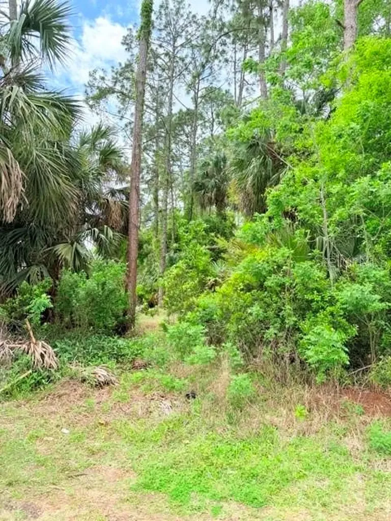 39 Braddock Lane Palm Coast FL 32137