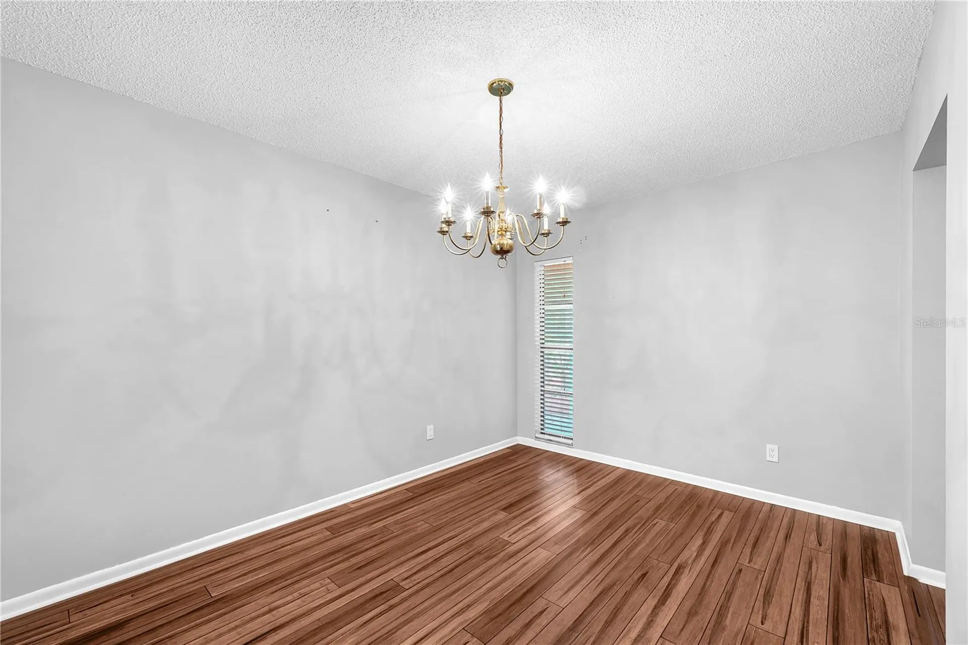 3706 Orangecrest Street Valrico FL 33596