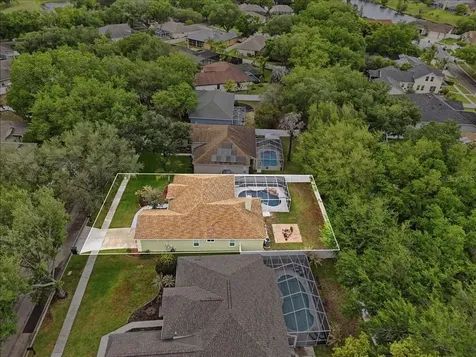 2214 Longmore Circle Valrico FL 33596