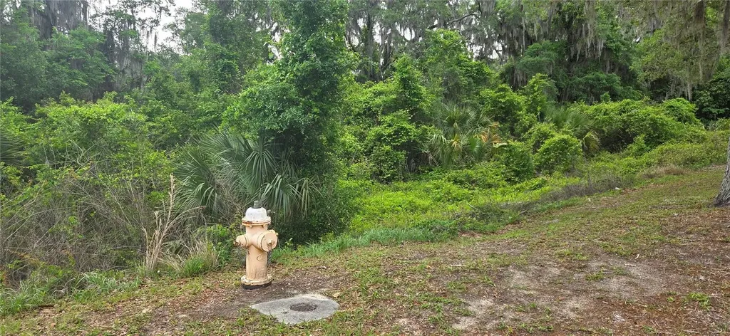 2392 N Heritage Oaks Path Hernando FL 34442