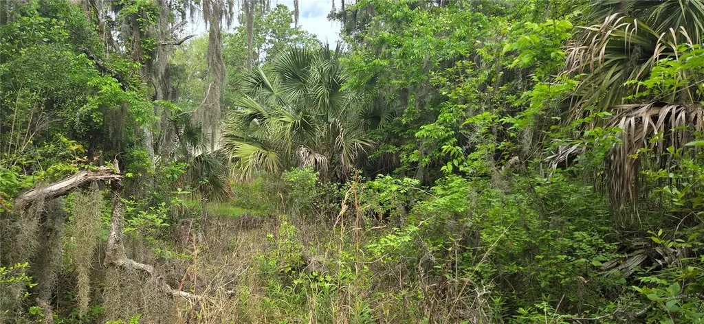 2392 N Heritage Oaks Path Hernando FL 34442