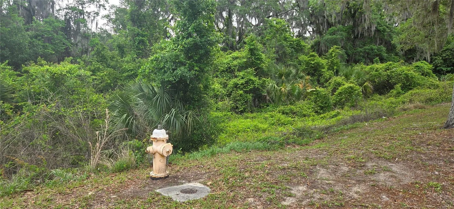 2392 N Heritage Oaks Path Hernando FL 34442