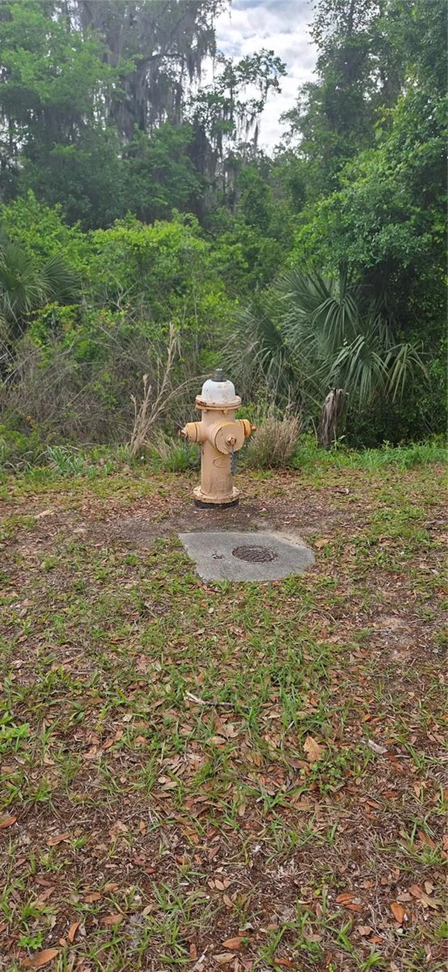 2392 N Heritage Oaks Path Hernando FL 34442