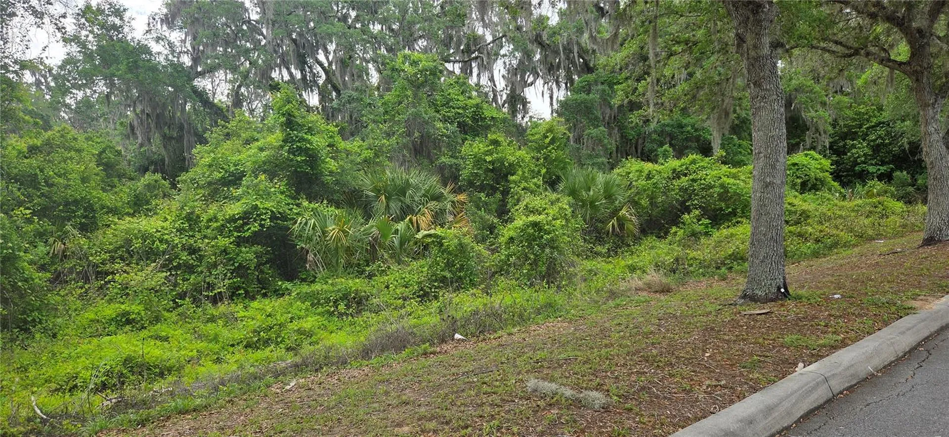 2392 N Heritage Oaks Path Hernando FL 34442