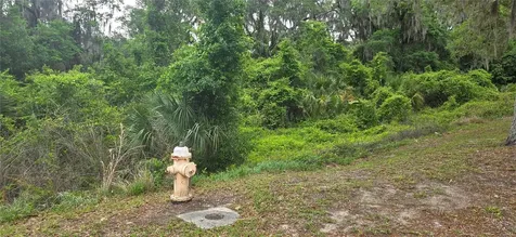 2392 N Heritage Oaks Path Hernando FL 34442