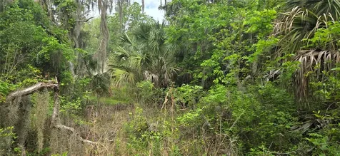2392 N Heritage Oaks Path Hernando FL 34442
