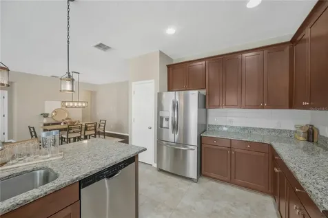 11450 Amapola Bloom Court Riverview FL 33579