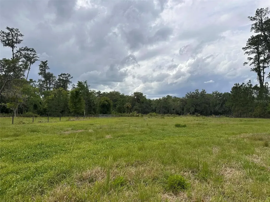 6800 NE 175th St. Road Citra FL 32113