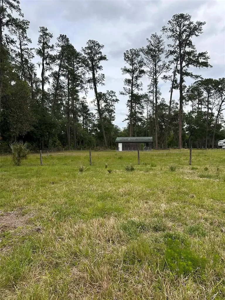 6800 NE 175th St. Road Citra FL 32113