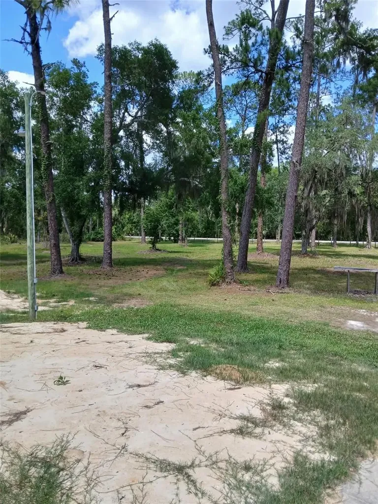 6800 NE 175th St. Road Citra FL 32113