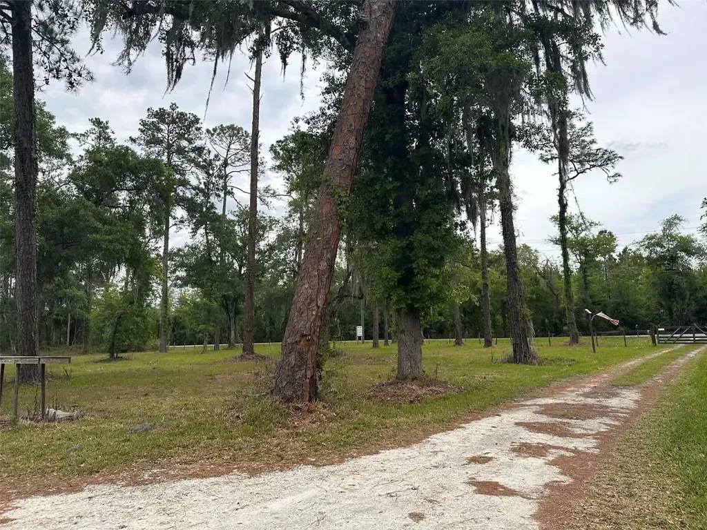 6800 NE 175th St. Road Citra FL 32113