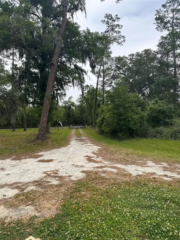 6800 NE 175th St. Road Citra FL 32113