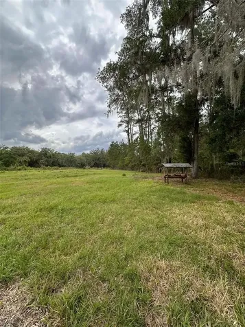 6800 NE 175th St. Road Citra FL 32113