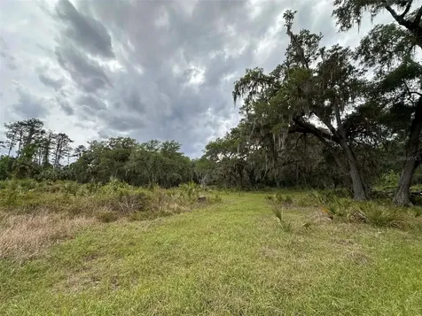 6800 NE 175th St. Road Citra FL 32113