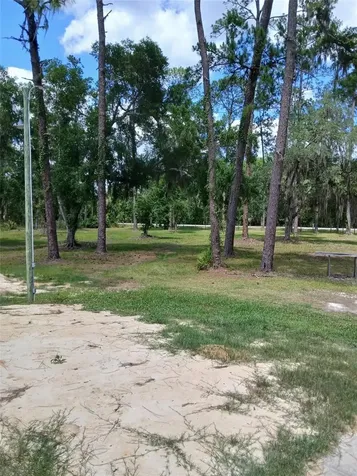 6800 NE 175th St. Road Citra FL 32113