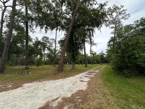 6800 NE 175th St. Road Citra FL 32113