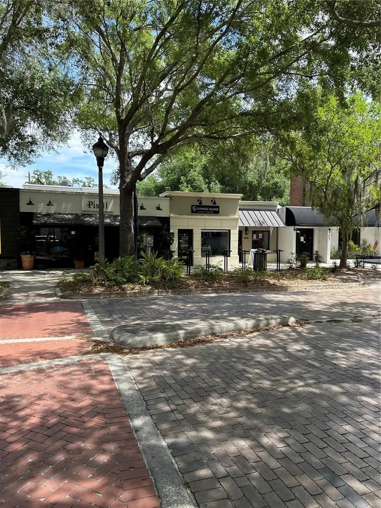 1002 Oakdale Street Windermere FL 34786