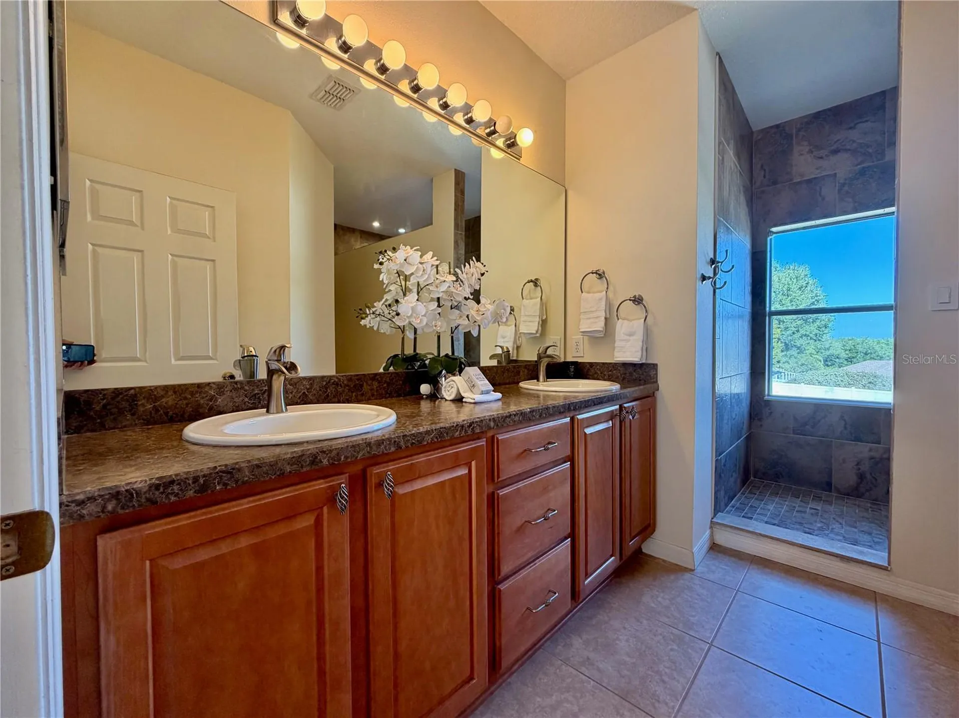25012 Chipshot Court Sorrento FL 32776