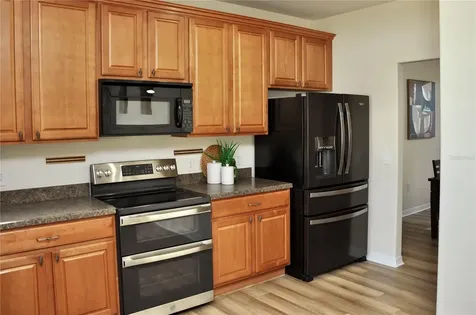 25012 Chipshot Court Sorrento FL 32776