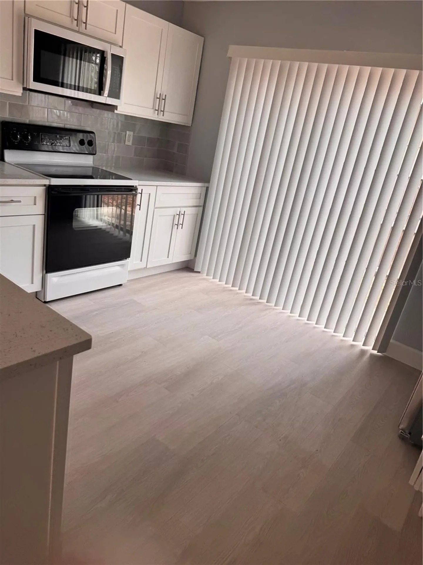 1125 E Rohe Street Tarpon Springs FL 34689