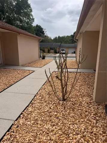 1125 E Rohe Street Tarpon Springs FL 34689