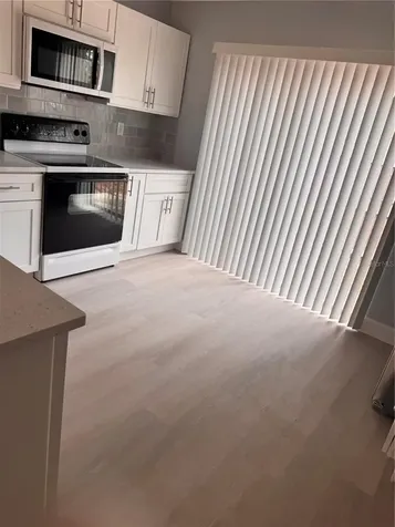 1125 E Rohe Street Tarpon Springs FL 34689
