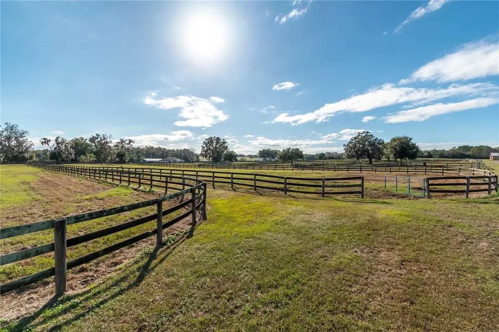 5100 W Highway 329 Reddick FL 32686