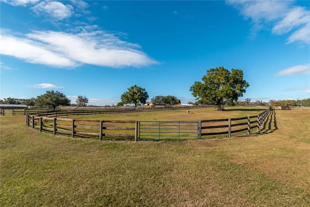 5100 W Highway 329 Reddick FL 32686