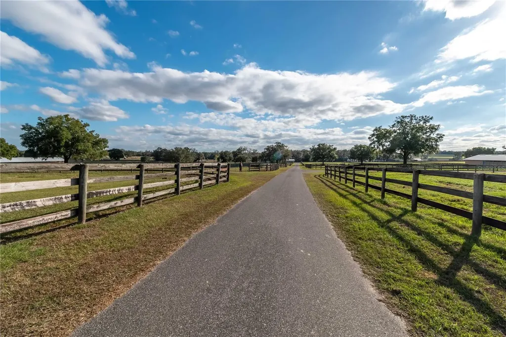 5100 W Highway 329 Reddick FL 32686