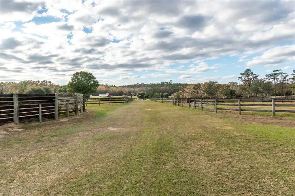 5100 W Highway 329 Reddick FL 32686