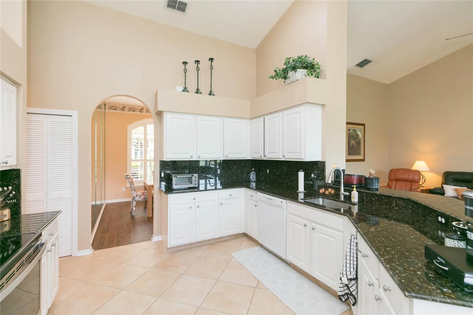 3516 Shadowood Drive Valrico FL 33596