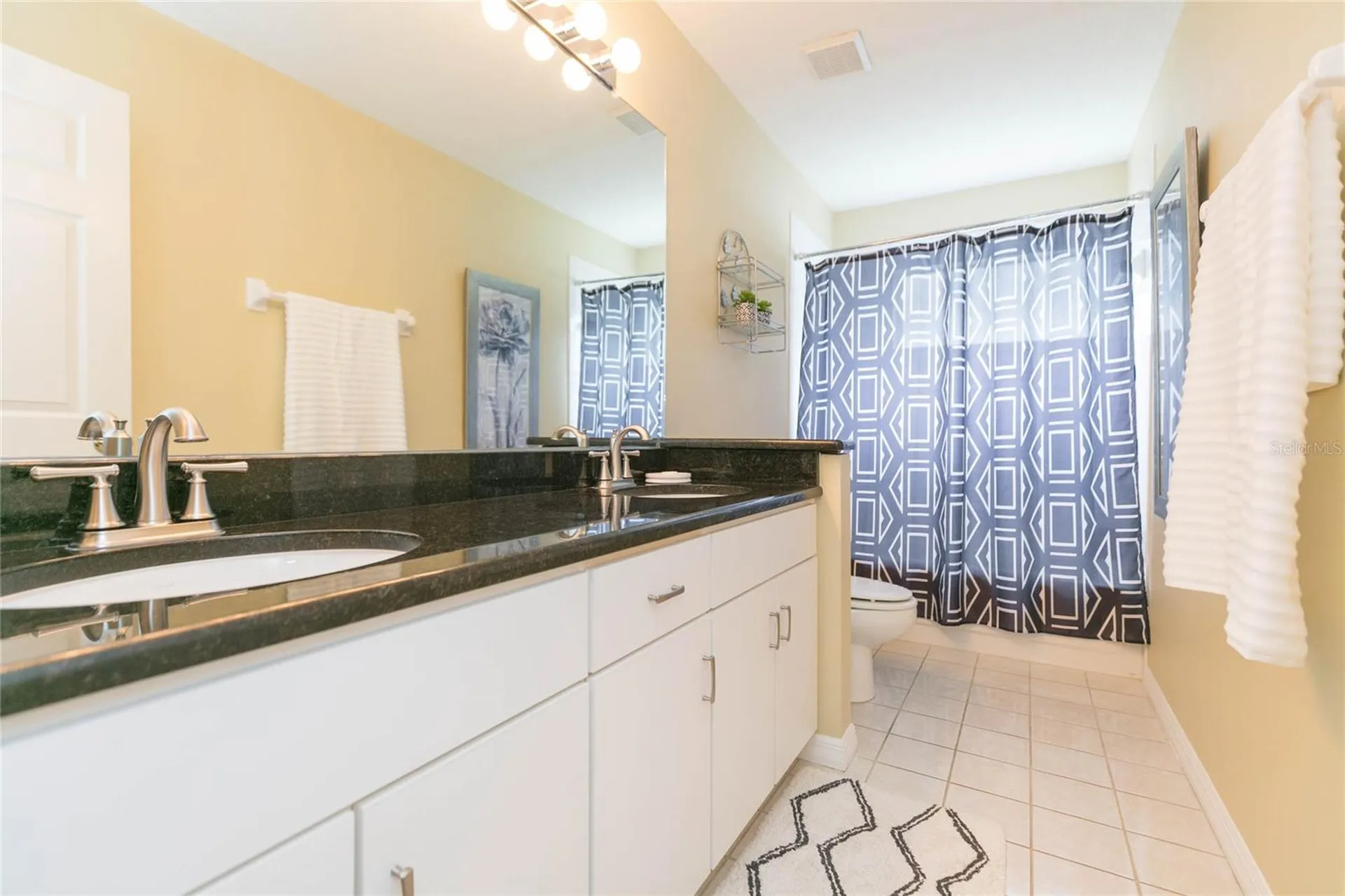 3516 Shadowood Drive Valrico FL 33596