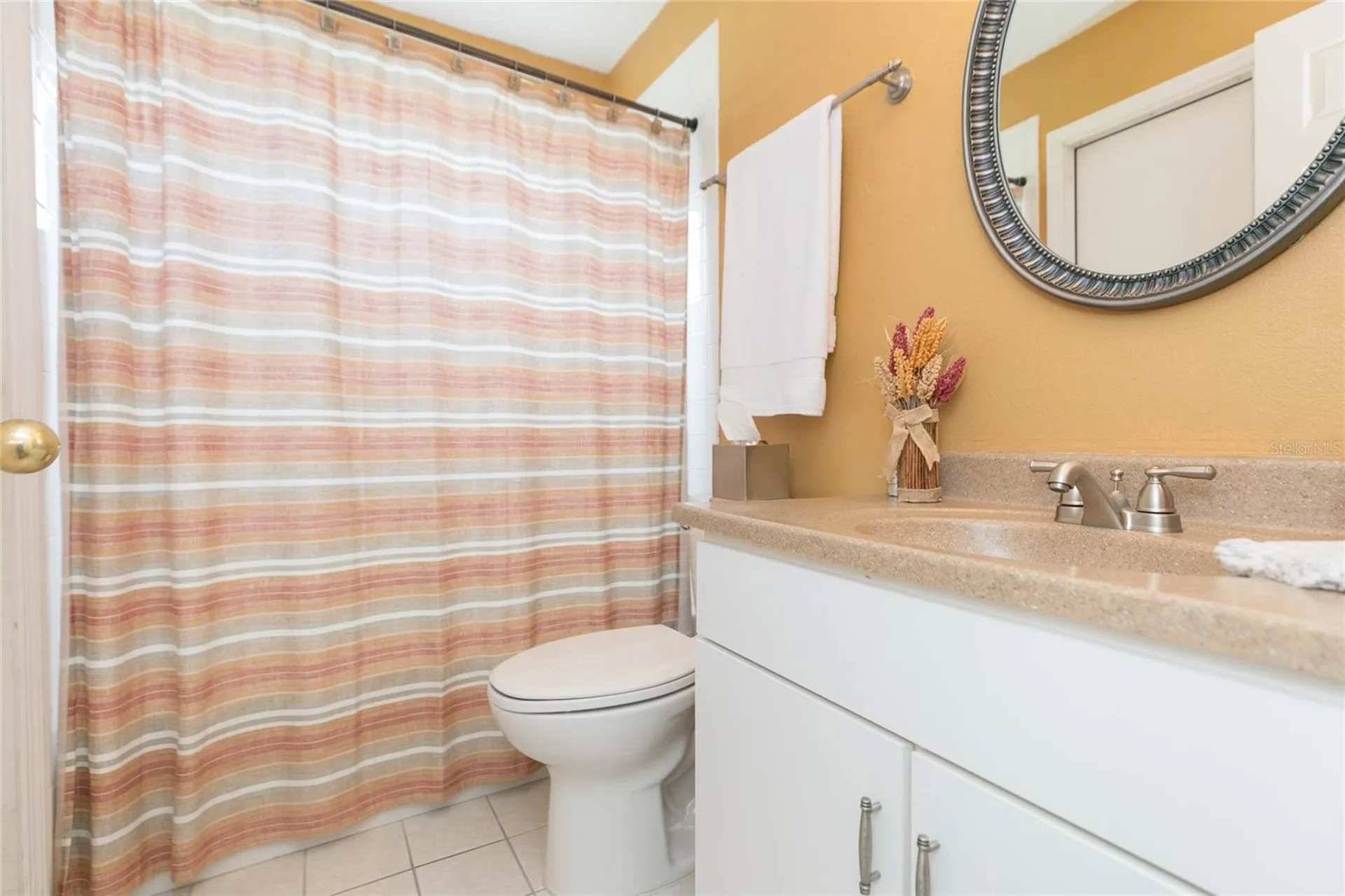 3516 Shadowood Drive Valrico FL 33596