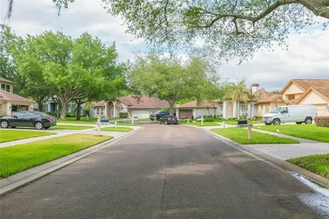 3516 Shadowood Drive Valrico FL 33596