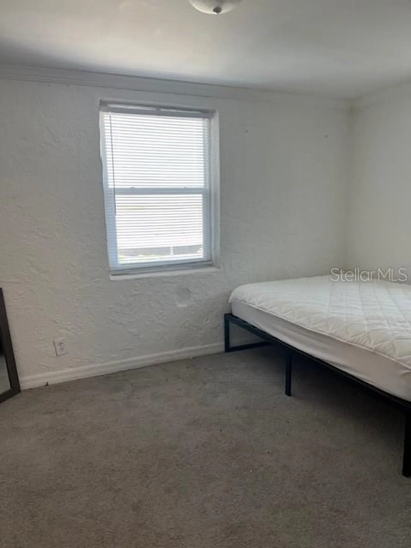 3774 Abington Avenue S St Petersburg FL 33711