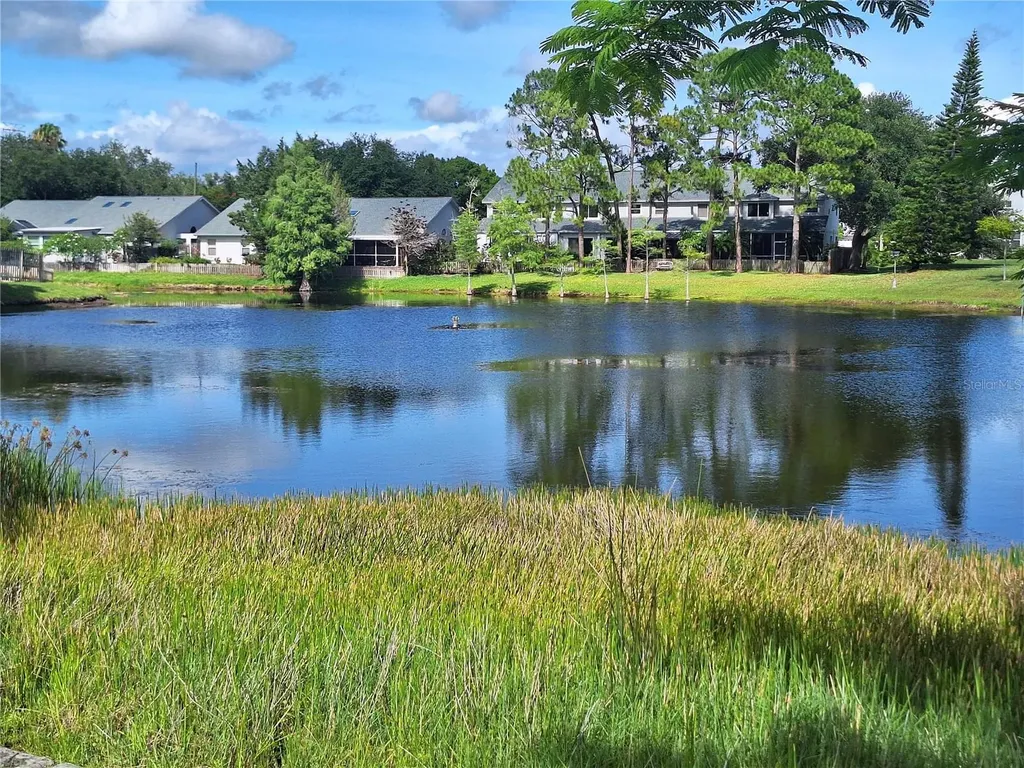 3006 Covewood Place Clearwater FL 33761