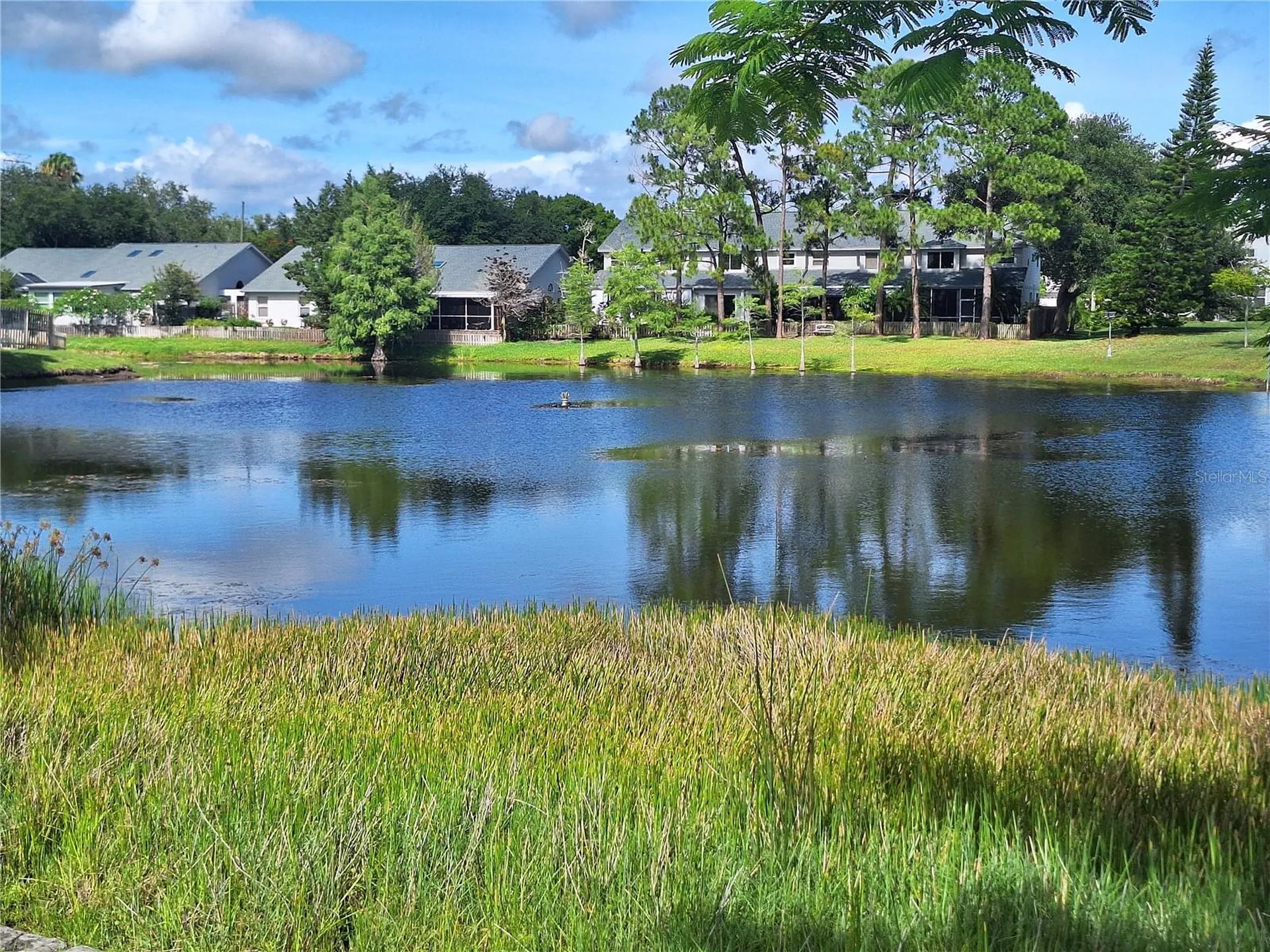 3006 Covewood Place Clearwater FL 33761