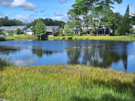 3006 Covewood Place Clearwater FL 33761