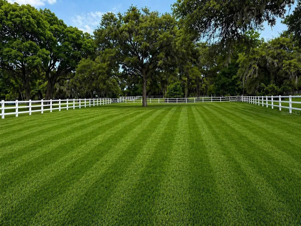 33015 Sahara Court Sorrento FL 32776