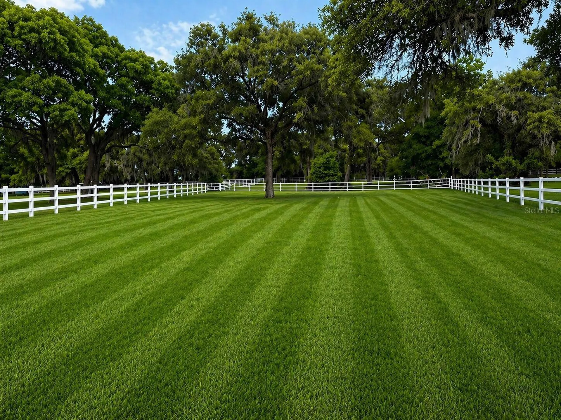 33015 Sahara Court Sorrento FL 32776