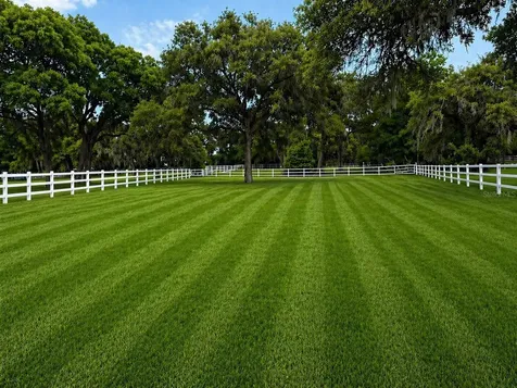 33015 Sahara Court Sorrento FL 32776