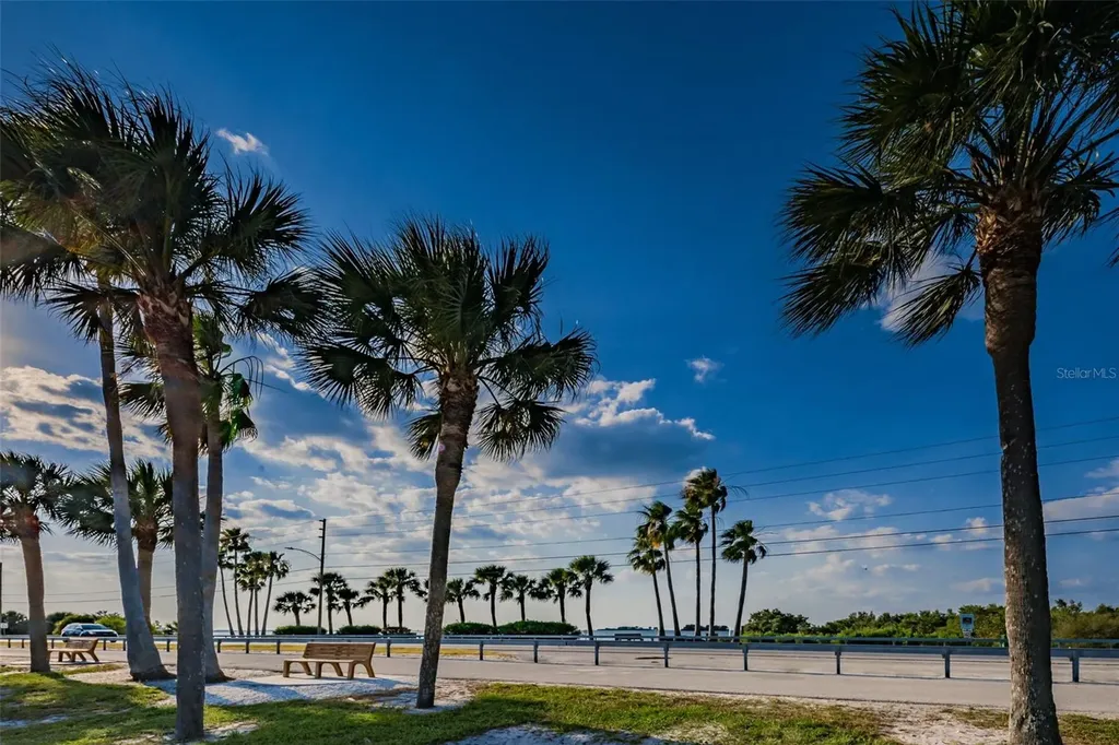 253 Park Circle S Dunedin FL 34698