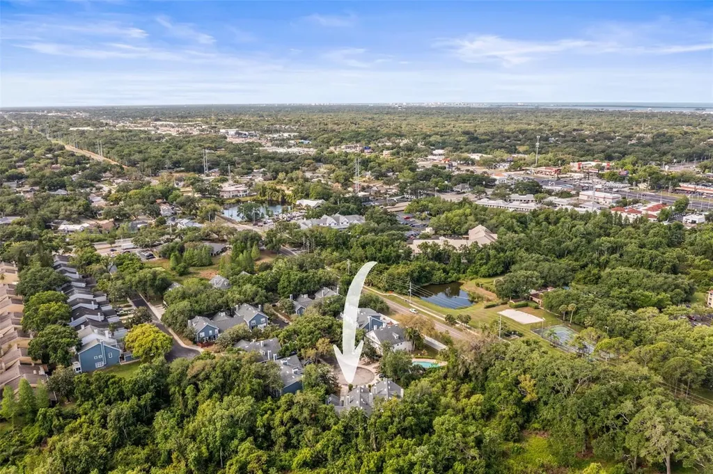 312 Winchester Way Palm Harbor FL 34684