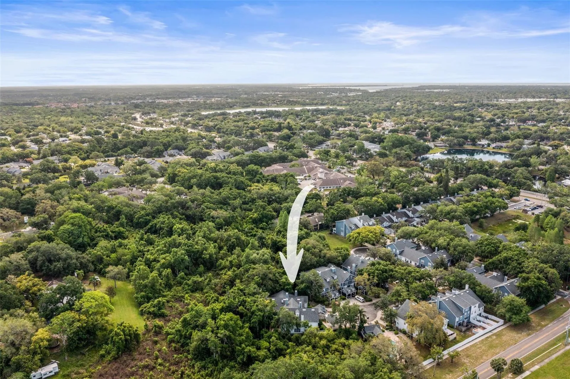 312 Winchester Way Palm Harbor FL 34684