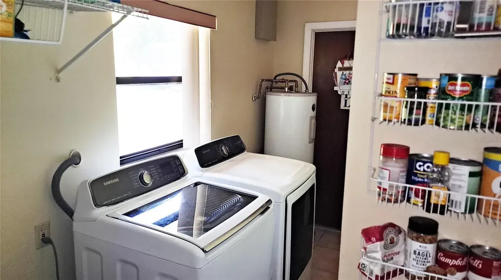 25930 Sackamaxon Drive Sorrento FL 32776