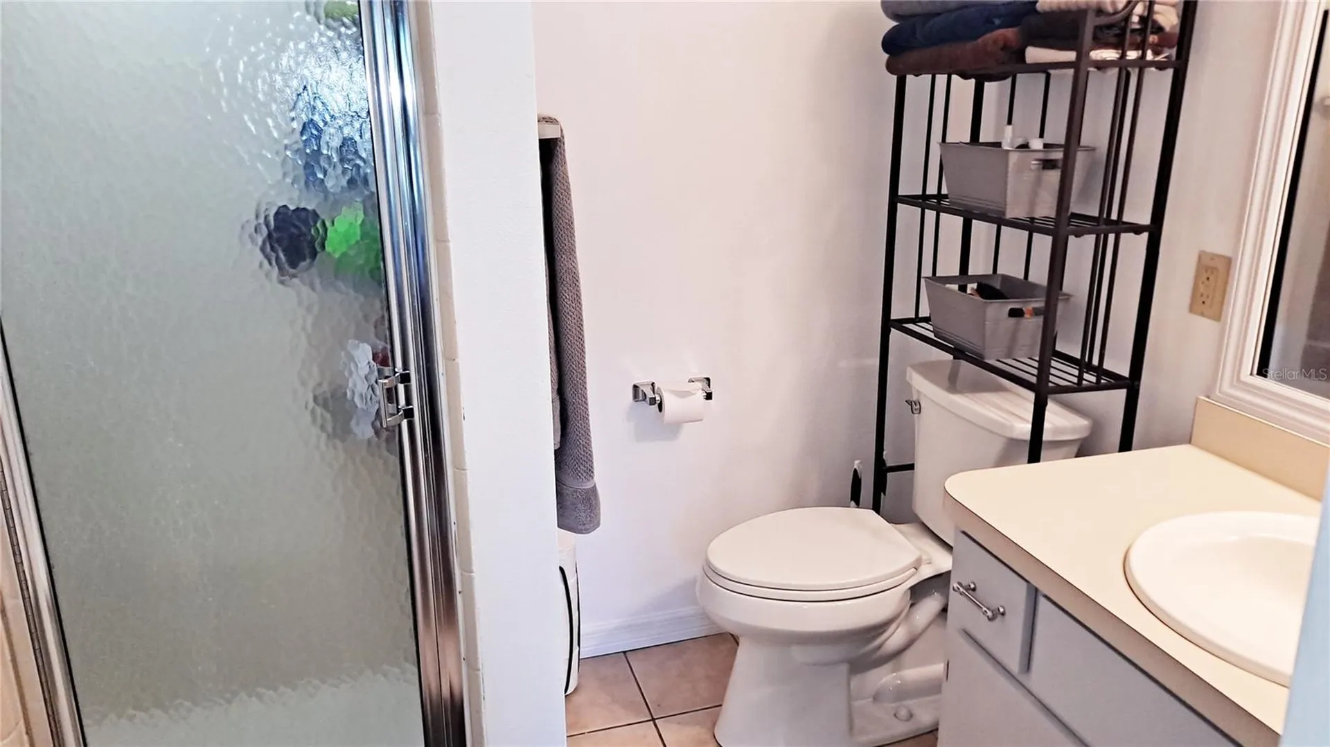 25930 Sackamaxon Drive Sorrento FL 32776