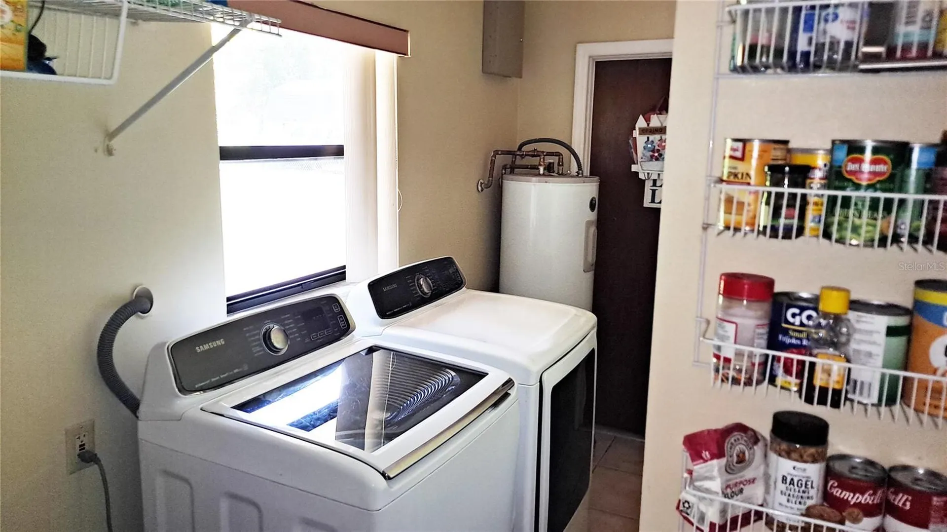 25930 Sackamaxon Drive Sorrento FL 32776