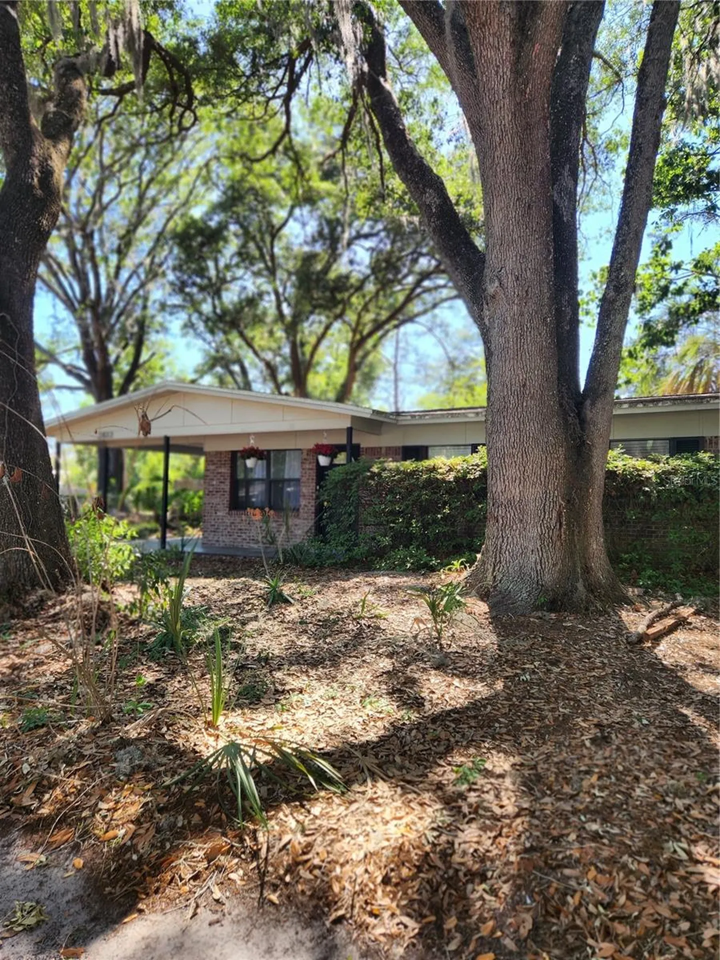 2822 NE 16th Drive Gainesville FL 32609