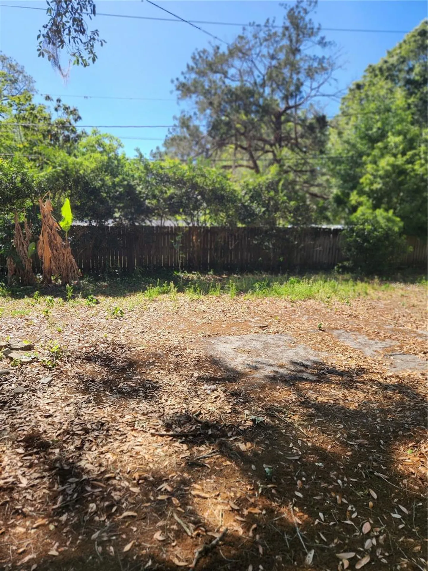 2822 NE 16th Drive Gainesville FL 32609